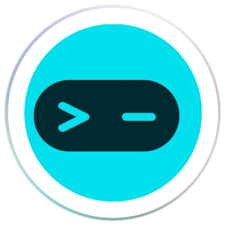 Terminal